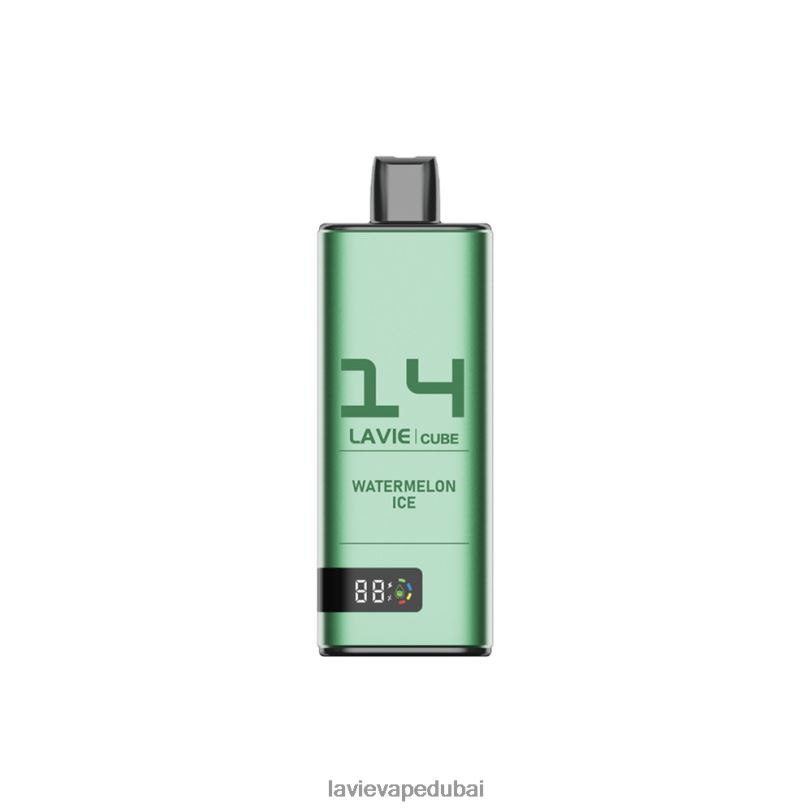 السيد مثلج